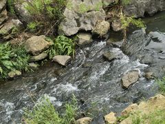 -羊山湖公园