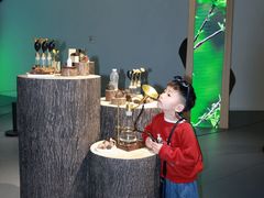 -中国湿地博物馆