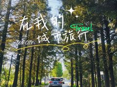 -广富林郊野公园