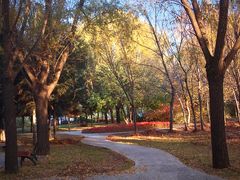 -吉林大学(前卫南区)
