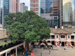 -大馆(前中区警署建築群)