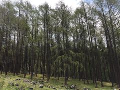 -硗碛藏寨·神木垒景区