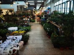 -双季花艺园艺市场(浦东店)