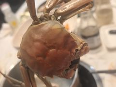 -半岛听涛蒸汽海鲜自助(K11店)