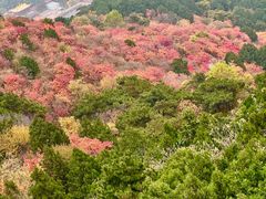-香山公园