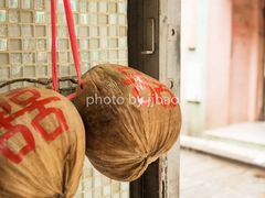 环境-洪馨椰子