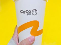 -CoCo都可(大润发店)