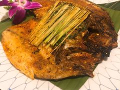 -紫滇源云南生态菜(丹凤街店)
