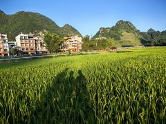 -靖西鹅泉风景区