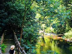 -广州市石门国家森林公园