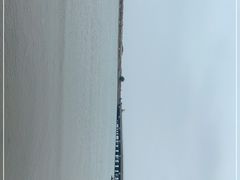 -东郊椰林