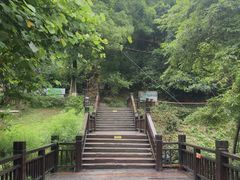 -天鹿湖森林公园