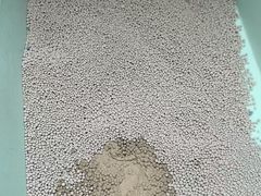 -瑞派动物医院·猫专科·至诚(江南中分院)