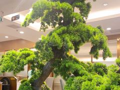 -顺德佬华侨城店·商务宴请·团建