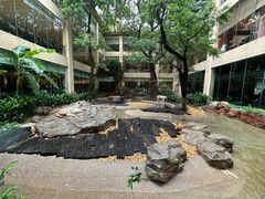 -白虎自助餐厅·真老虎·景观自助餐厅(广州长隆酒店)