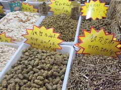 -中国农业博物馆