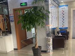 -茂菊口腔连锁(浦东南路店)