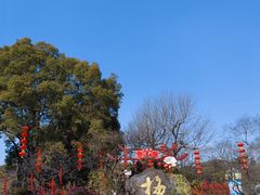 -无锡梅园公园