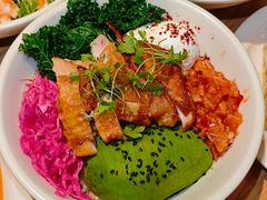 -O'eat Blossom&Pelican(深圳首店)