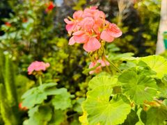 -阳光山水江湖菜馆(西山龙门店)