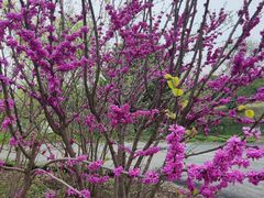 -梁鸿国家湿地公园