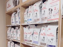 -中农大我爱我爱24h动物医院·中医针灸·猫专科·骨科医疗中心(双井店)