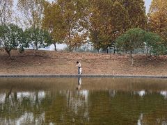 -洋湖国家湿地公园