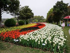 -上海鲜花港