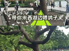 -杭州湖滨in77