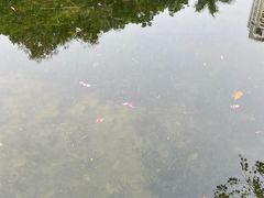 -荔枝公园(福田区)