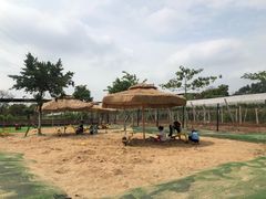 -长洲岛都市农业公园