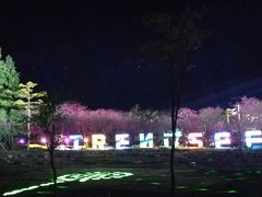 -天适樱花悠乐园