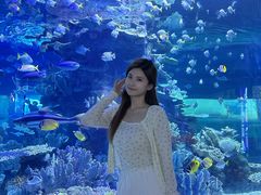 -左海海底世界