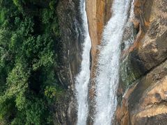 -广州白江湖森林公园