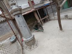 -罔极寺