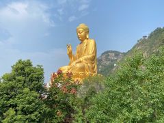 -大伊山景区