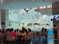 -帝企鹅自助餐厅•儿童岛•真企鹅(长隆企鹅酒店)