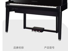 -雅马哈钢琴电钢琴城盛世雅歌琴行•电钢琴城•钢琴培训•二手钢琴租赁(西三环旗舰店)