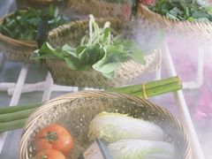 -农厨好味·温泉鹅·农家菜