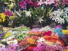 -三旗百汇商品城