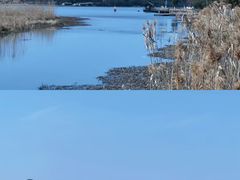 -东钱湖旅游度假区