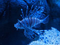 -成都浩海立方海洋公园