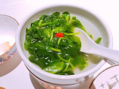 田园时蔬-广舟(千禧店)