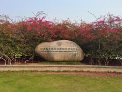 -中国科学院西双版纳热带植物园