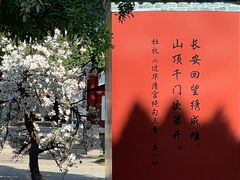 -华清宫景区