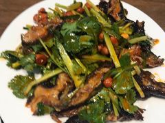 -杨氏青龙虾·羊蝎子(金盛路总店)