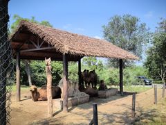 -济南野生动物世界