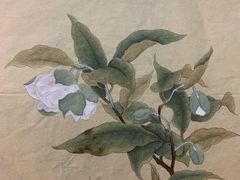 -八哥美术·成人美术画室(总校区)