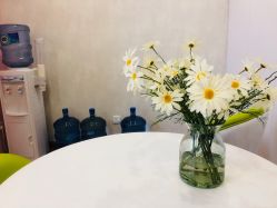 -成都苗方清颜专业祛痘