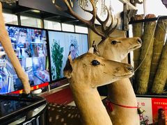 -乔家满族八大碗(流水沟店)